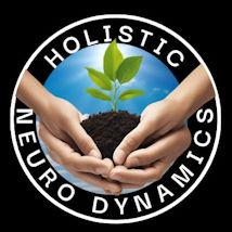 Holistic Neuro Dynamics